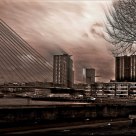 The harbor of Rotterdam
